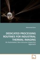 Dedicated Processing Routines for Industrial Thermal Imaging