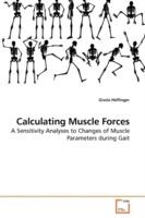 Calculating Muscle Forces