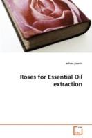 Roses for Essential Oil extraction