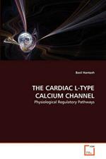 The Cardiac L-Type Calcium Channel