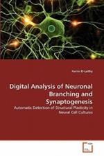 Digital Analysis of Neuronal Branching and Synaptogenesis