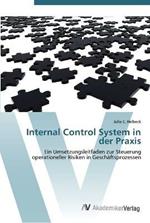 Internal Control System in der Praxis