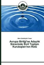 Avrupa Birligi'ne Adaylik Surecinde Sivil Toplum Kuruluslari'nin Rolu