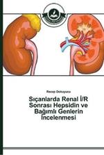 Sicanlarda Renal I/R Sonrasi Hepsidin ve Bagimli Genlerin Incelenmesi