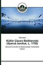 Kultur Cipura Baliklarinda (Sparus auratus, L. 1758)