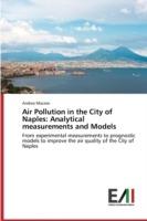 Air Pollution in the City of Naples: Analytical measurements and Models