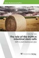 The role of the EGFR in intestinal stem cells