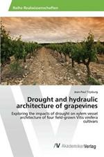 Drought and hydraulic architecture of grapevines