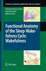 Functional Anatomy of the Sleep-Wakefulness Cycle: Wakefulness