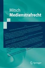 Medienstrafrecht