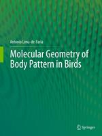 Molecular Geometry of Body Pattern in Birds