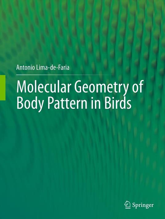 Molecular Geometry of Body Pattern in Birds