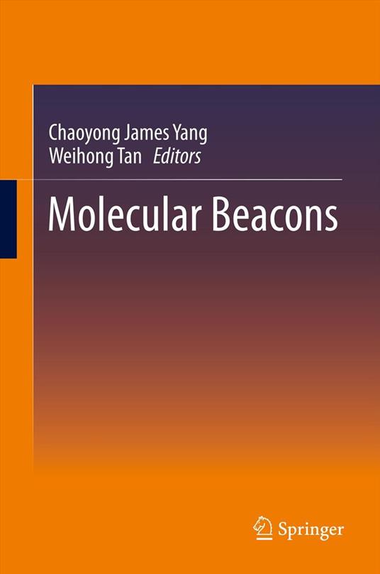 Molecular Beacons