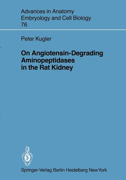 On Angiotensin-Degrading Aminopeptidases in the Rat Kidney