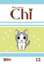 Kleine Katze Chi 12