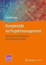 Komplexität im Projektmanagement