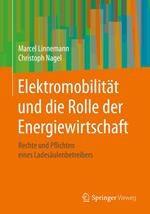 Elektromobilität und die Rolle der Energiewirtschaft