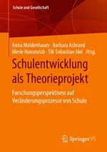 Schulentwicklung als Theorieprojekt