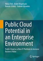 Public Cloud Potential in an Enterprise Environment