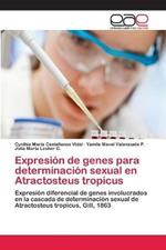 Expresion de genes para determinacion sexual en Atractosteus tropicus