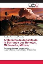 Ambientes de deposito de la Barranca Los Bonetes, Michoacan, Mexico