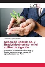 Cepas de Bacillus sp. y Bradyrhizobium sp. en el cultivo de algodon