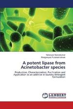 A potent lipase from Acinetobacter species