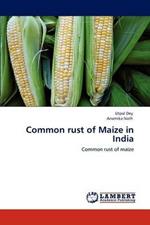 Common rust of Maize in India