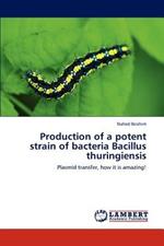 Production of a potent strain of bacteria Bacillus thuringiensis