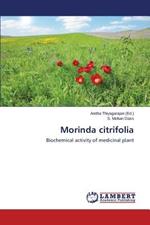 Morinda Citrifolia