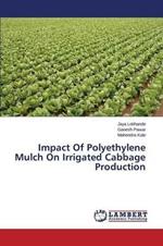 Impact Of Polyethylene Mulch On Irrigated Cabbage Production