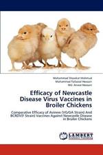 Efficacy of Newcastle Disease Virus Vaccines in Broiler Chickens