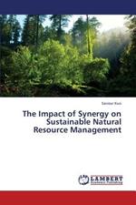 The Impact of Synergy on Sustainable Natural Resource Management