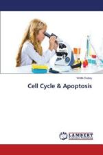 Cell Cycle & Apoptosis