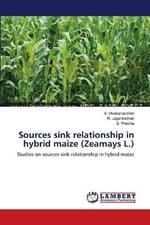 Sources sink relationship in hybrid maize (Zeamays L.)