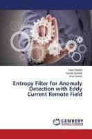 Entropy Filter for Anomaly Detection with Eddy Current Remote Field