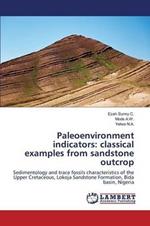 Paleoenvironment indicators: classical examples from sandstone outcrop