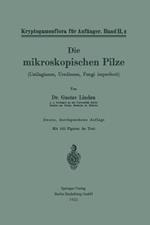 Die mikroskopischen Pilze: Ustilagineen, Uredineen, Fungi imperfecti