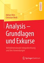 Analysis – Grundlagen und Exkurse