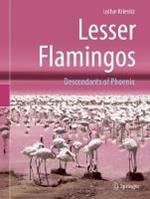 Lesser Flamingos: Descendants of Phoenix