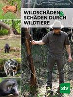 Wildschäden & Schäden durch Wildtiere