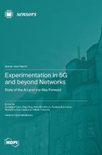 Experimentation in 5G and beyond Networks: State of the Art and the Way Forward