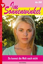 Im Sonnenwinkel 58 – Familienroman