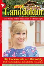 Der neue Landdoktor 30 – Arztroman