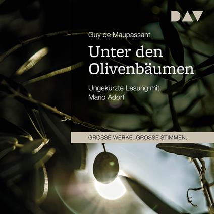 Unter den Olivenbäumen