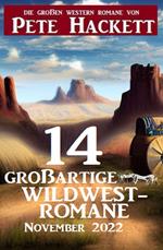 14 großartige Wildwestromane November 2022