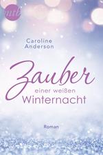 Zauber einer weißen Winternacht