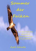 Sommer der Falken