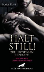 Halt still! Zur Lustsklavin erzogen! Erotischer Herrenclubroman