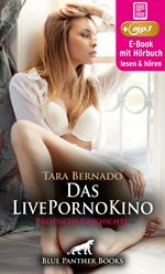 Das LivePornoKino | Erotische Geschichte